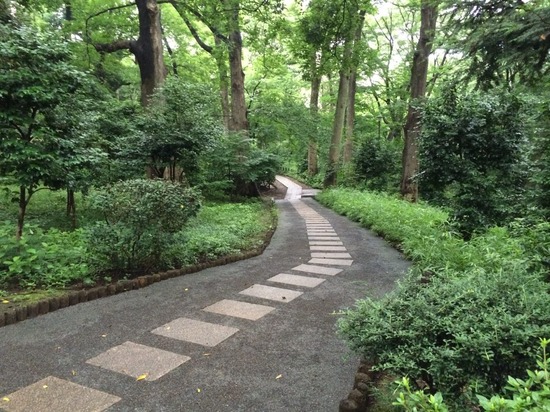 ニャンバーワン,銀座トイプードル,リリーとドナ,asknowasdewan088