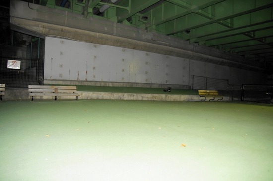 銀座 トイプードル リリー as know as de wan02