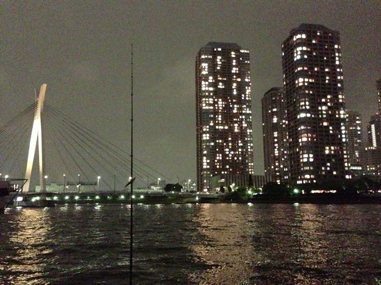 ブラックのトイプードル銀座リリー＆ドナas know as de wan07