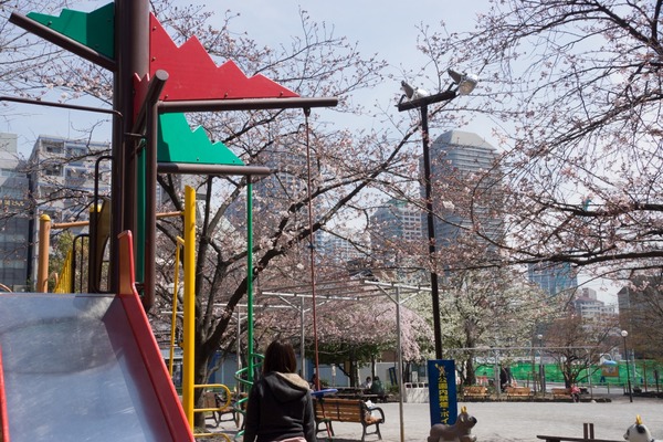 ブラックトイプードル銀座リリードナ022