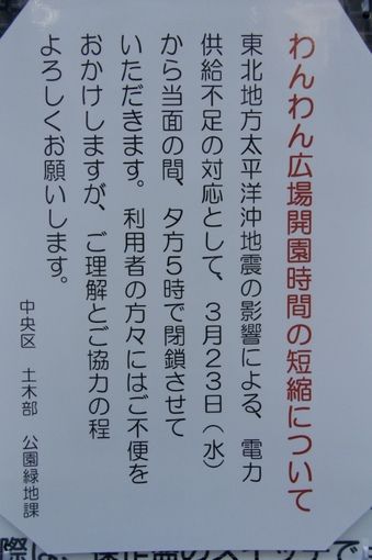 銀座トイプードルリリーas know as de wan専属モデルＰＰＧｉＲＬ★ＰＰＢＯＹ18.jpg