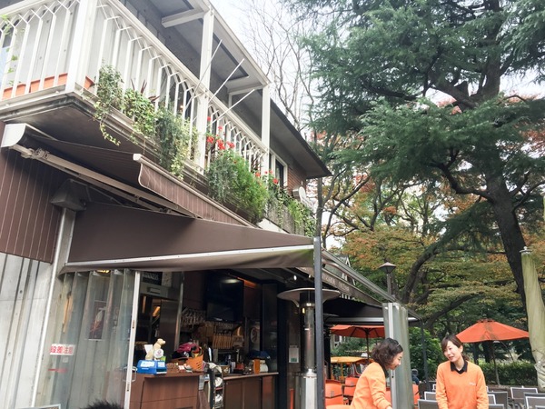 ブラックトイプードル銀座リリー＆ドナ249