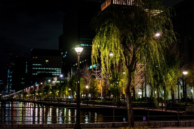 20151219ブラックトイプードル銀座リリー＆ドナ10