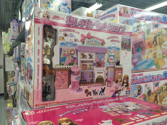 トイプードル ブログ 銀座リリー ドナ as know as de wan17