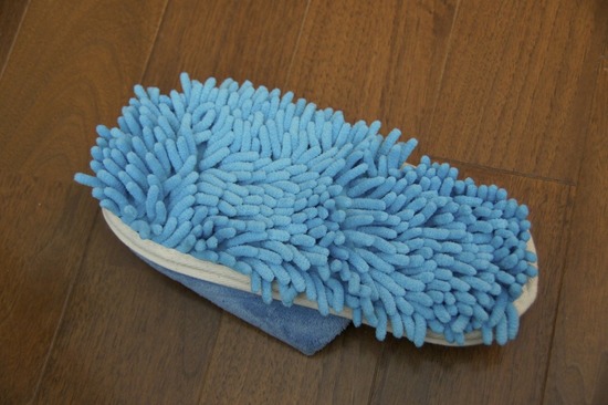 銀座トイプードルリリーas know as de wan14