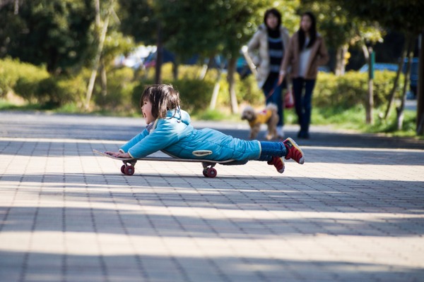 トイプードル銀座リリー042