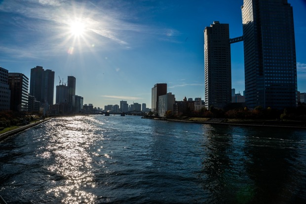 20151205ブラックトイプードル銀座リリー＆ドナ70
