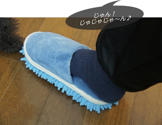 銀座トイプードルリリーas know as de wan13