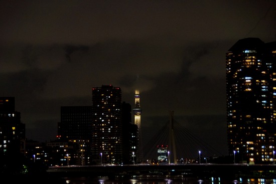 トイプードル銀座リリー＆ドナ20