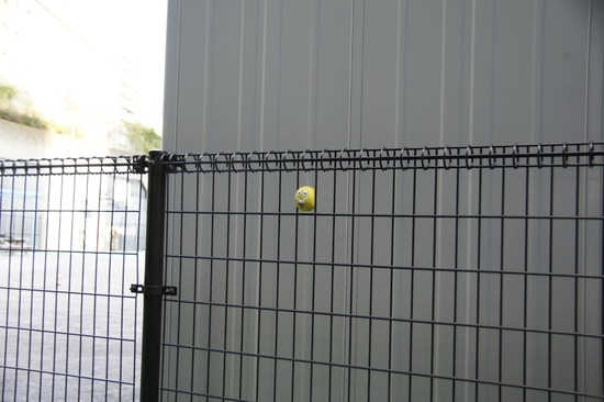 as know as de wanとトイプードルブラックの銀座リリー19