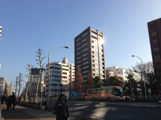 銀座トイプードルリリーas know as de wan03