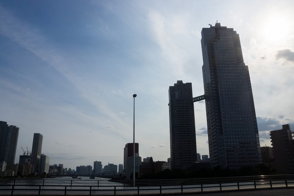 銀座トイプードル_リリードナ11