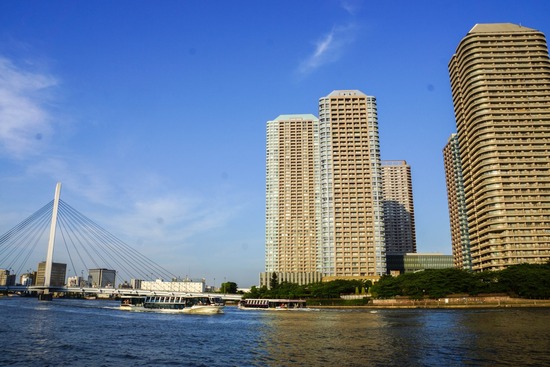 ニャンバーワン,銀座トイプードル,リリーとドナ,asknowasdewan034