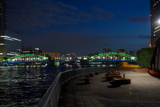 ニャンバーワン,銀座トイプードル,リリーとドナ,asknowasdewan021