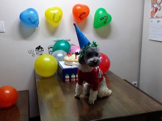 1381697_365842020215847_1602001286_n