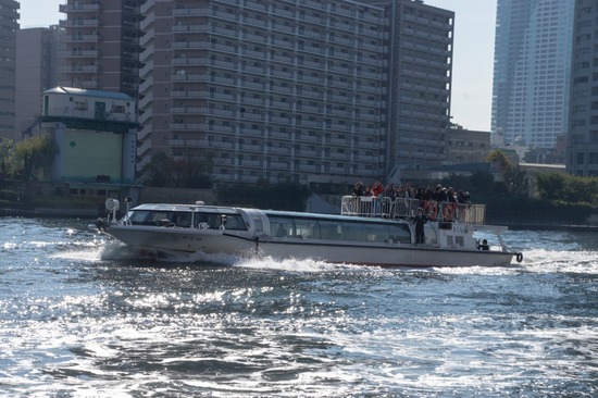 トイプードル ブログ 銀座リリー ドナ as know as de wan75