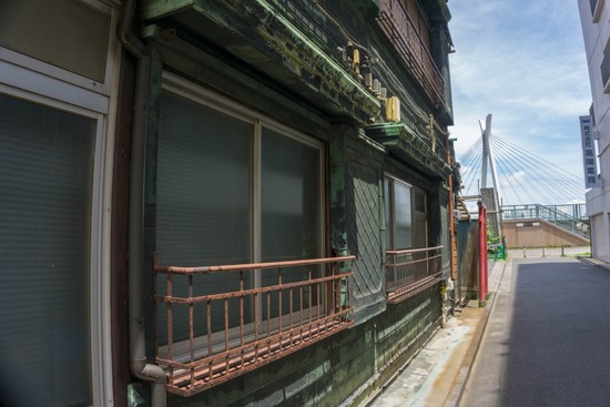 ニャンバーワン,銀座トイプードル,リリーとドナ,asknowasdewan046