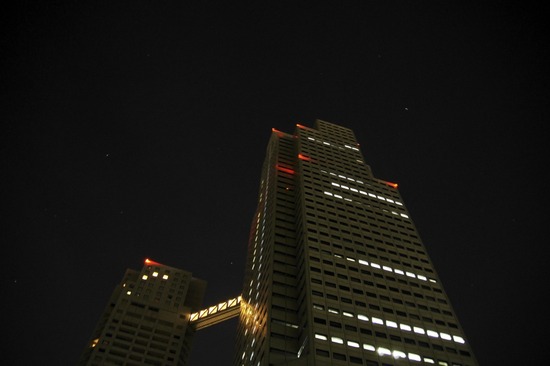 as know as de wan トイプードル 銀座リリー08