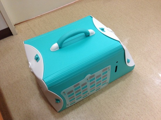 銀座 トイプードル リリー as know as de wan13