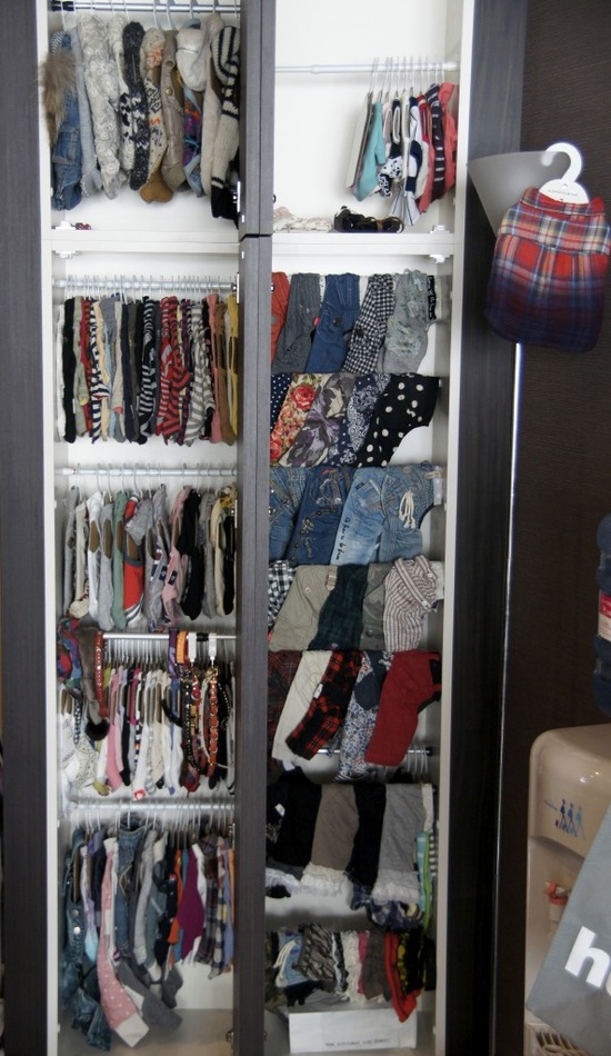 銀座 トイプードル リリー as know as de wan00