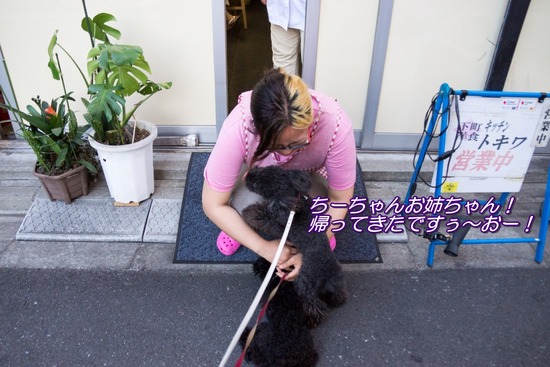 トイプードル銀座リリー＆ドナ128