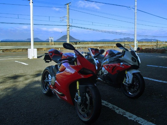 銀座トイプードルリリーas know as de wan02