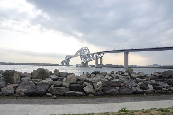 ブラックトイプードル銀座リリードナ039