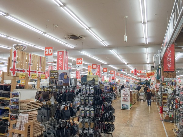 ブラックトイプードル銀座リリードナ003