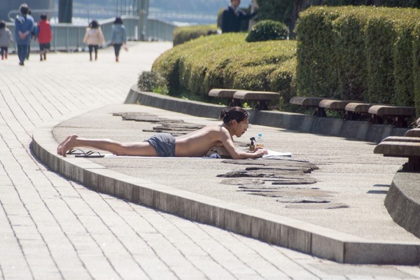 ブラックトイプードル銀座リリードナ017