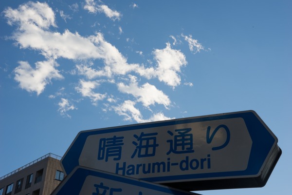 20151127ブラックトイプードル銀座リリー＆ドナ007