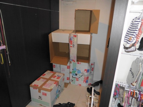 503 銀座ブラックのトイプードルリリーとドナas know as de wan42