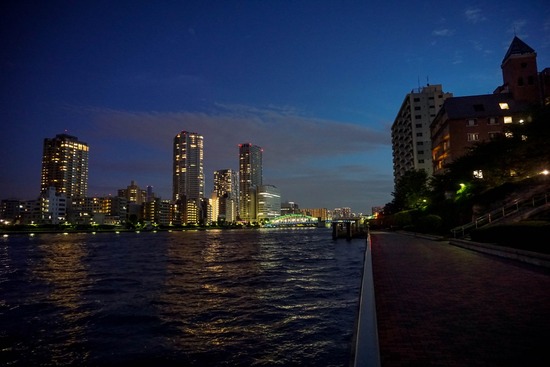 ニャンバーワン,銀座トイプードル,リリーとドナ,asknowasdewan020