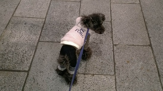 WP_20140109_19_33_35_Pro