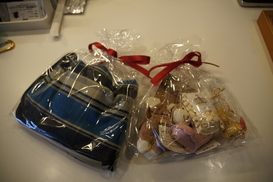 銀座 トイプードル リリー as know as de wan11