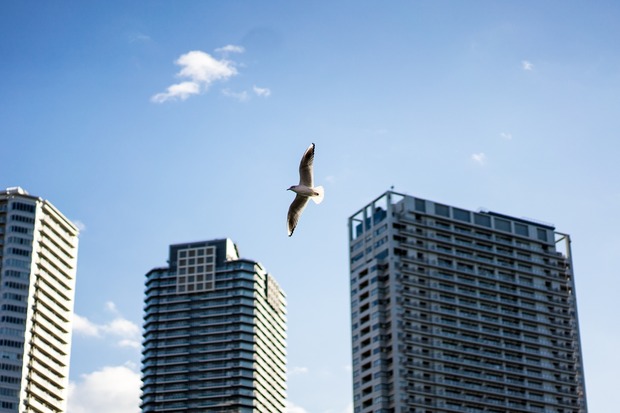 20151225ブラックトイプードル銀座リリー＆ドナ22