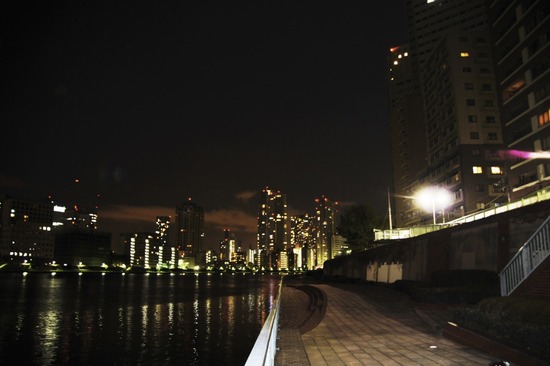 as know as de wan トイプードル 銀座リリー06