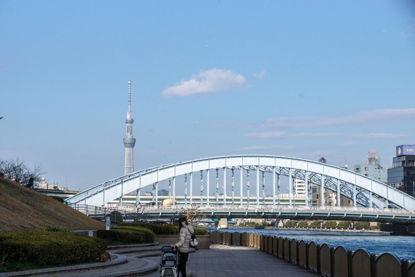 ブラックトイプードル銀座リリードナ019