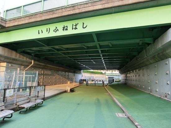 トイプードル銀座リリー＆ドナ08