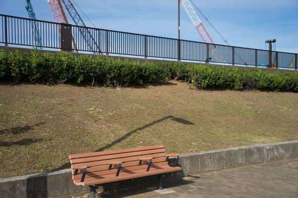 ブラックトイプードル銀座リリー＆ドナ043