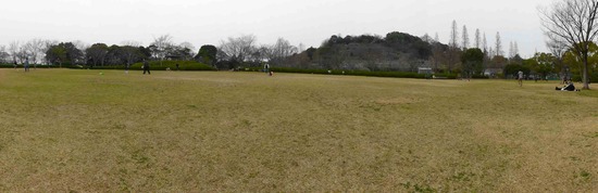 銀座トイプードルリリーとドナas know as de wan02