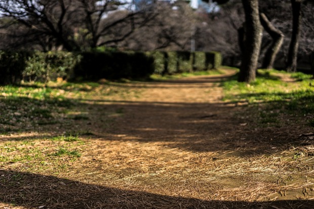 20160103ブラックトイプードル銀座リリー＆ドナ36