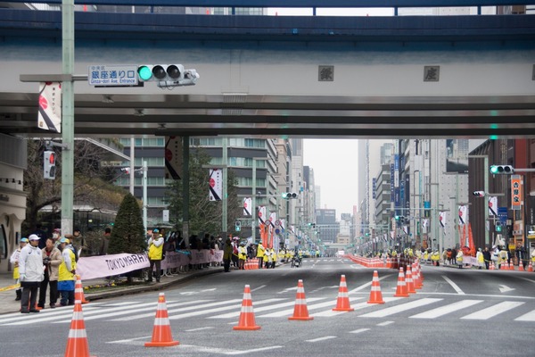 トイプードル銀座リリー016