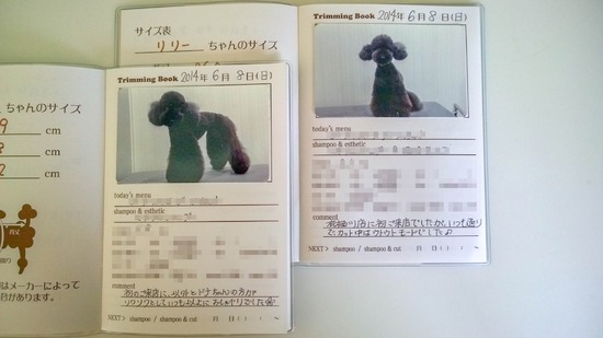 WP_20140608_17_37_47_Pro