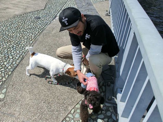 as know as de wan_銀座リリー_トイプードル05