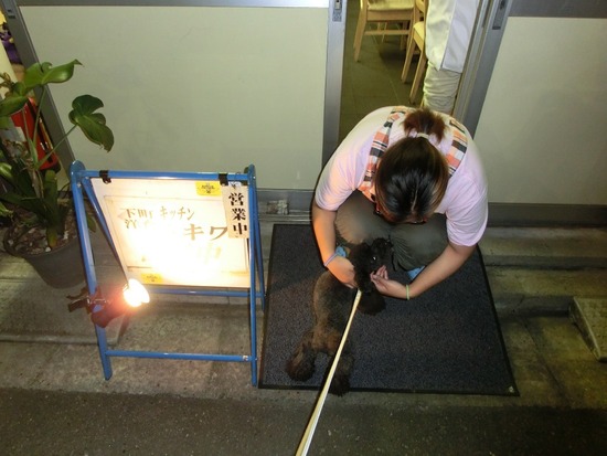 as know as de wanとトイプードルブラックの銀座リリー02