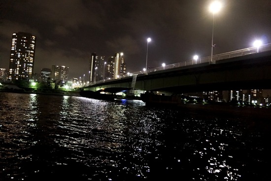 トイプードル ブログ 銀座リリーとドナas know as de wan03