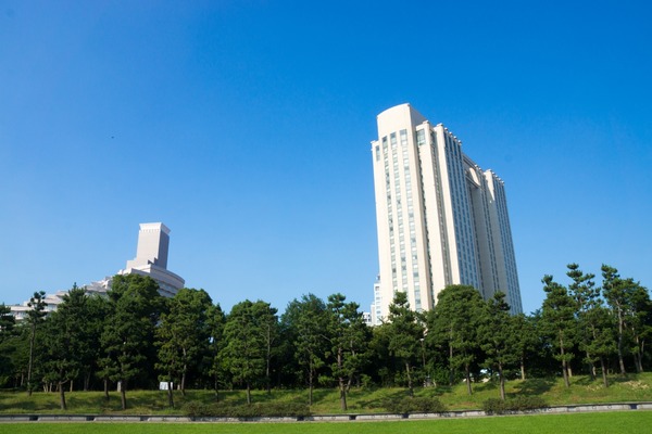 トイプードル銀座リリー10