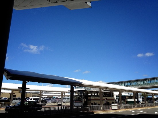 2012-08-19 12:55:59 写真1