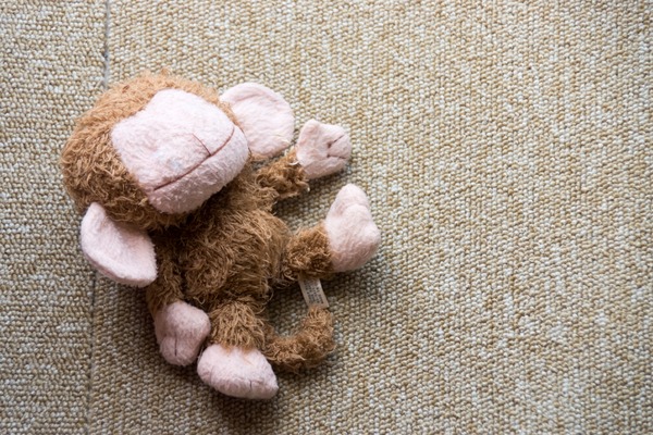 トイプードル銀座リリー07