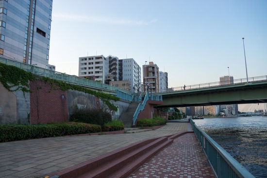 トイプードル銀座リリー＆ドナ123